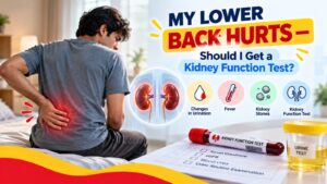 Read more about the article My Lower Back Hurts Should I Get a Kidney Function Test?